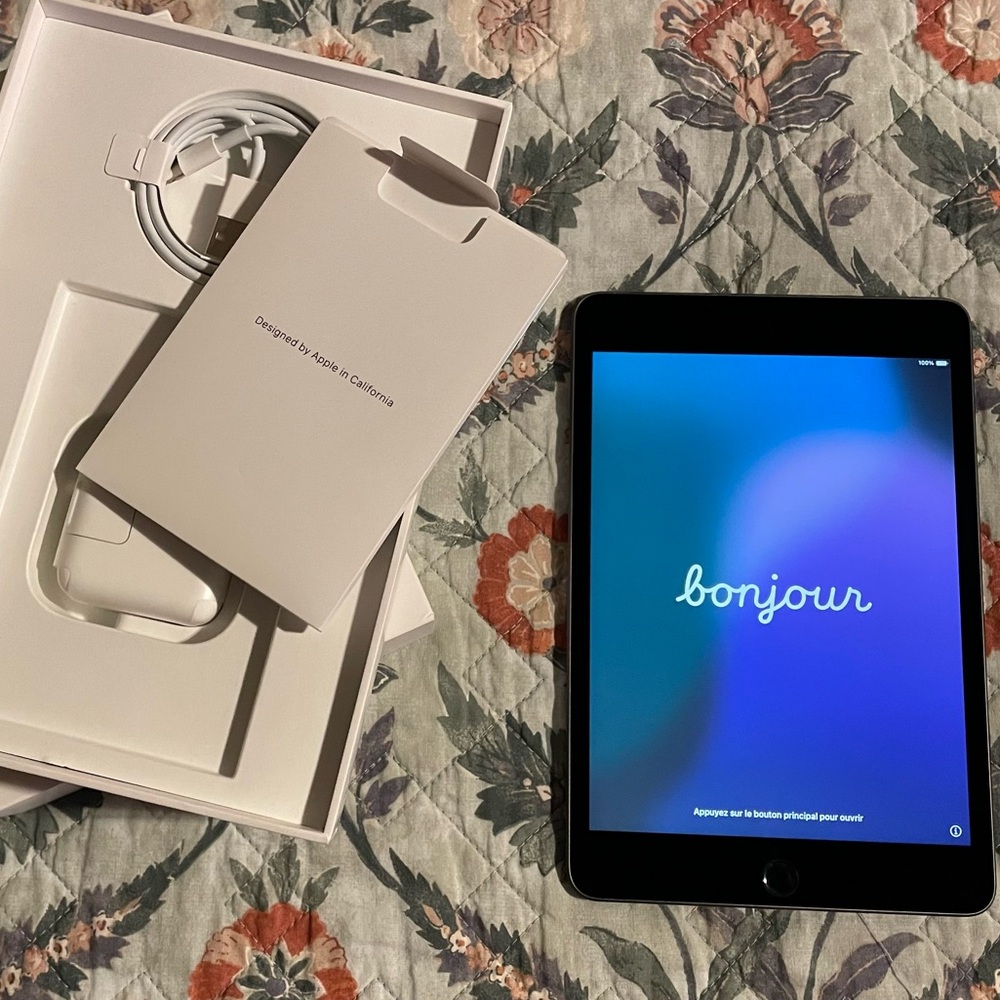 Apple iPad Mini 5 256GB WiFi-only EUC